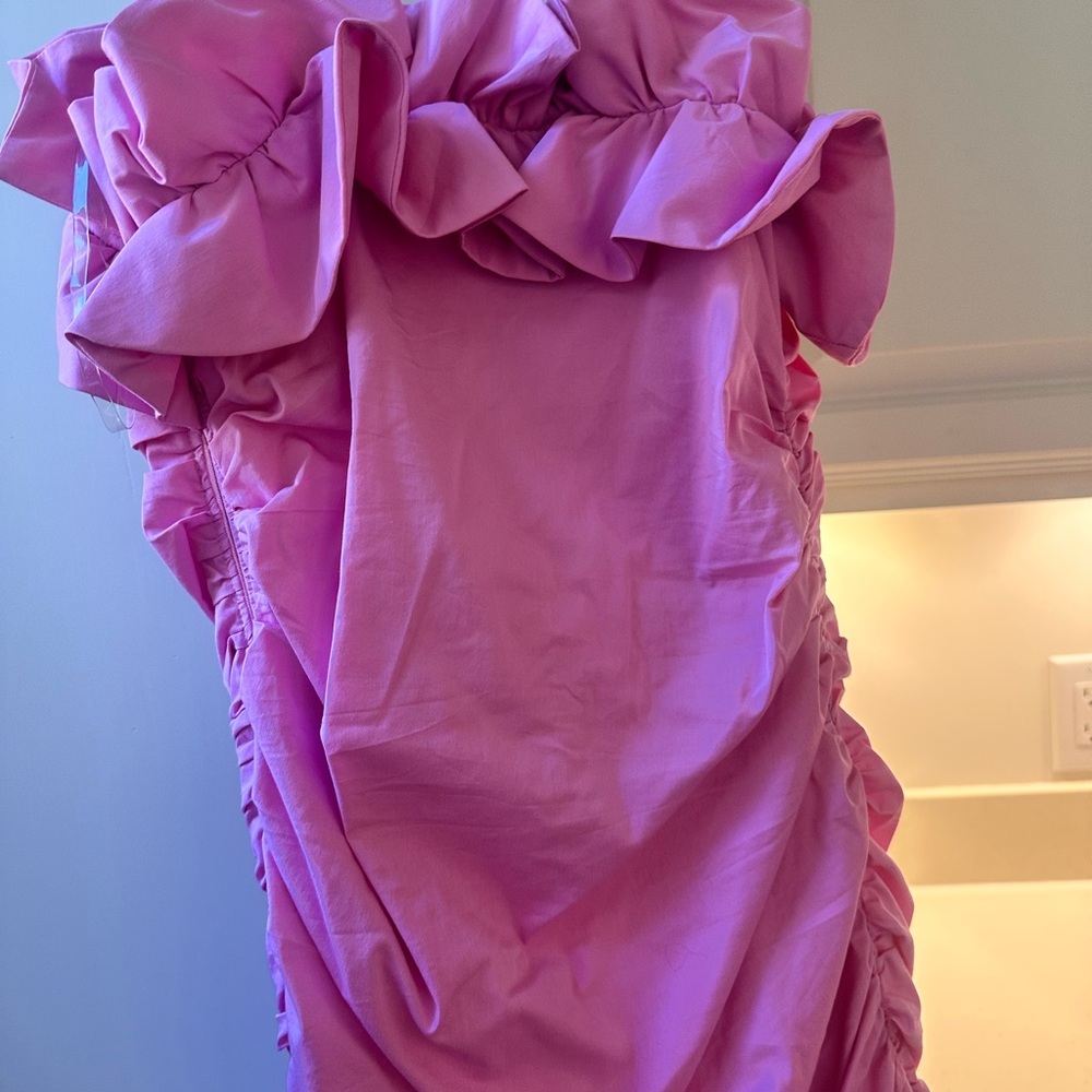 Pink Ruffled Dress - Picture 5 of 6